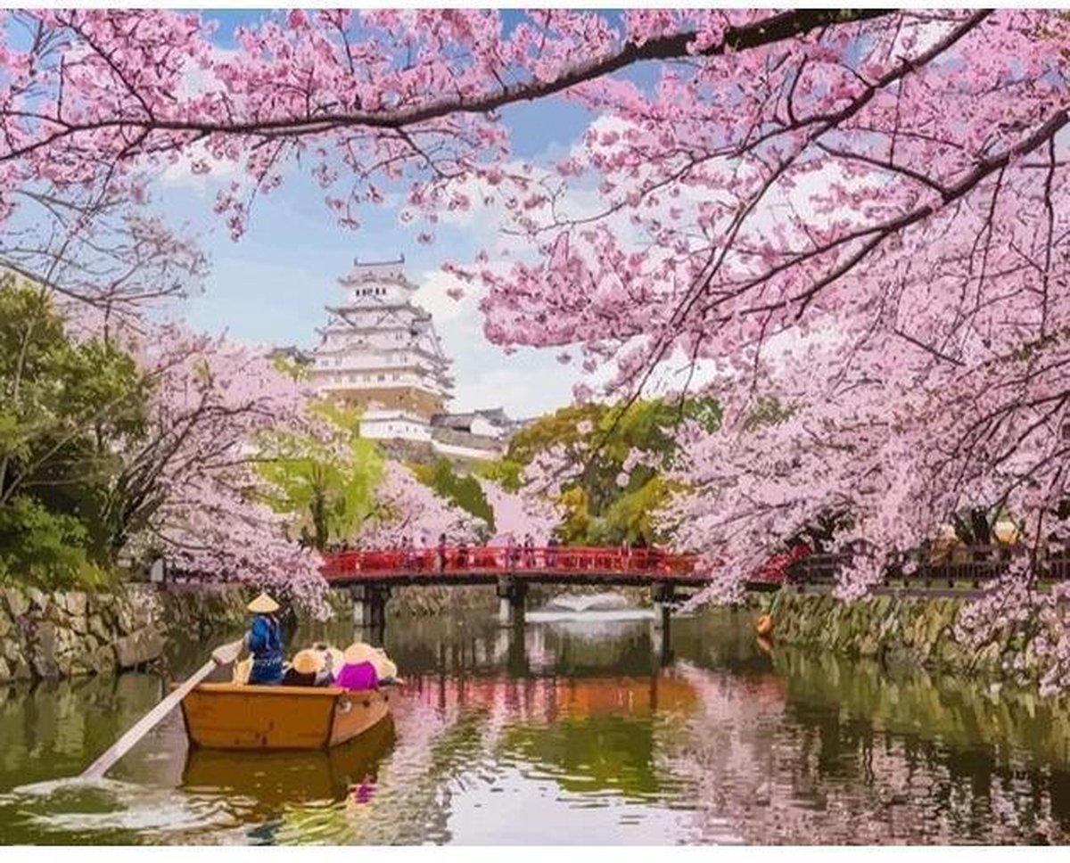 Schilderen op Nummer | Bloemetjes en Water - 40x50cm - Exclusief Lijst (24 kleurtjes)